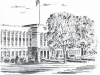 hs6
