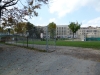 mellon-1